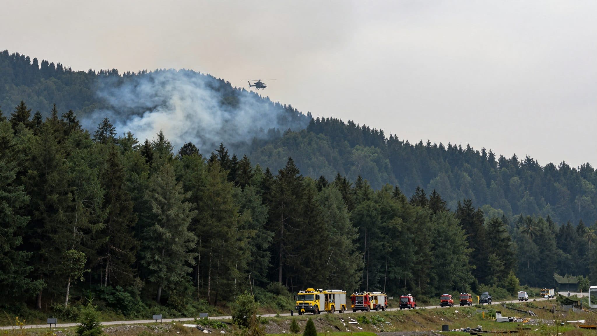 Incendie majeur en Tyrol oriental : environ 170 secours luttent contre un feu de forêt à Virgen