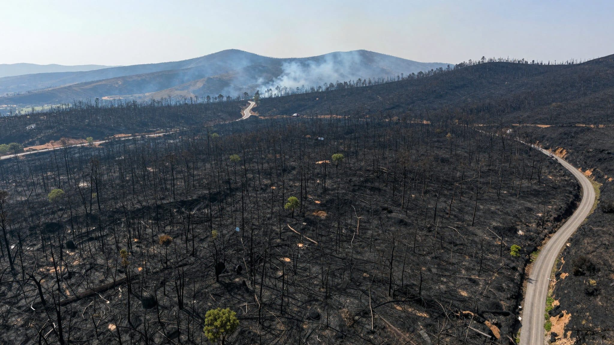 Incendie meurtrier en Andalousie : douze morts et une superficie équivalente à 9 400 terrains de football ravagée
