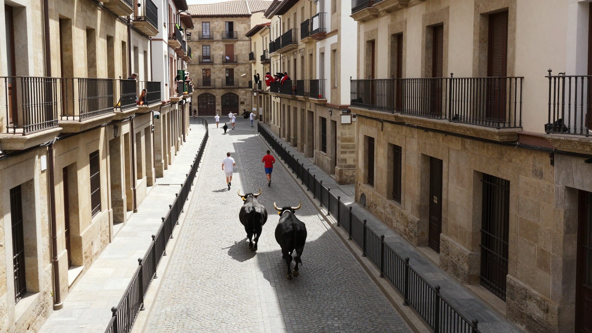 San Fermín à Pamplona commence avec un lancement controversé : lâcher de taureaux et critiques pour maltraitance animale
