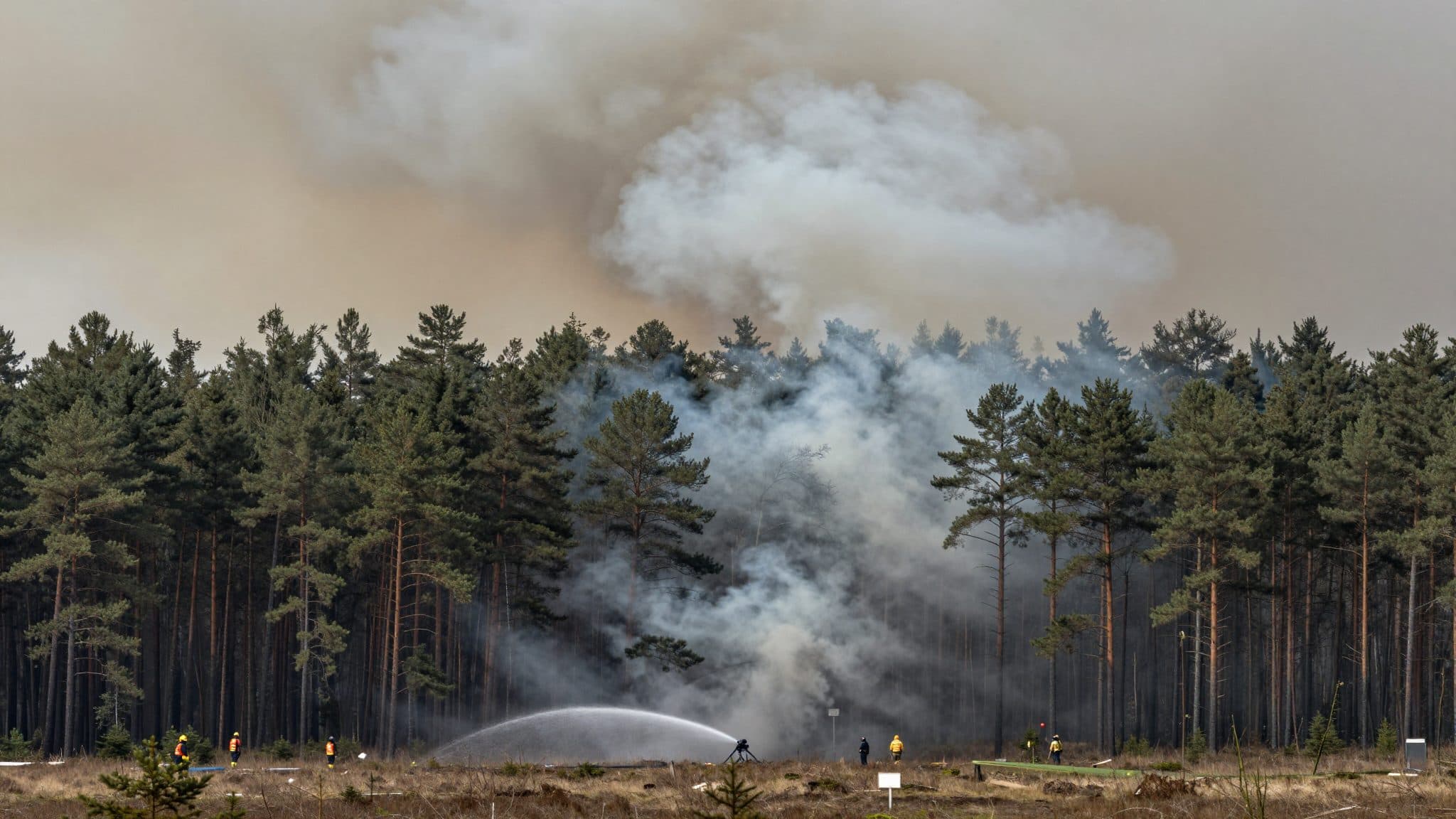 Incendie dans le parc national de Müritz : 318 hectares parcourus, pas de levée d'alerte