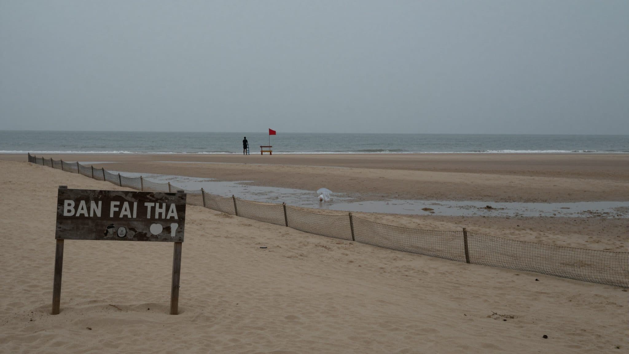 Un adolescent de 13 ans meurt après une piqûre de méduse sur une plage en Thaïlande