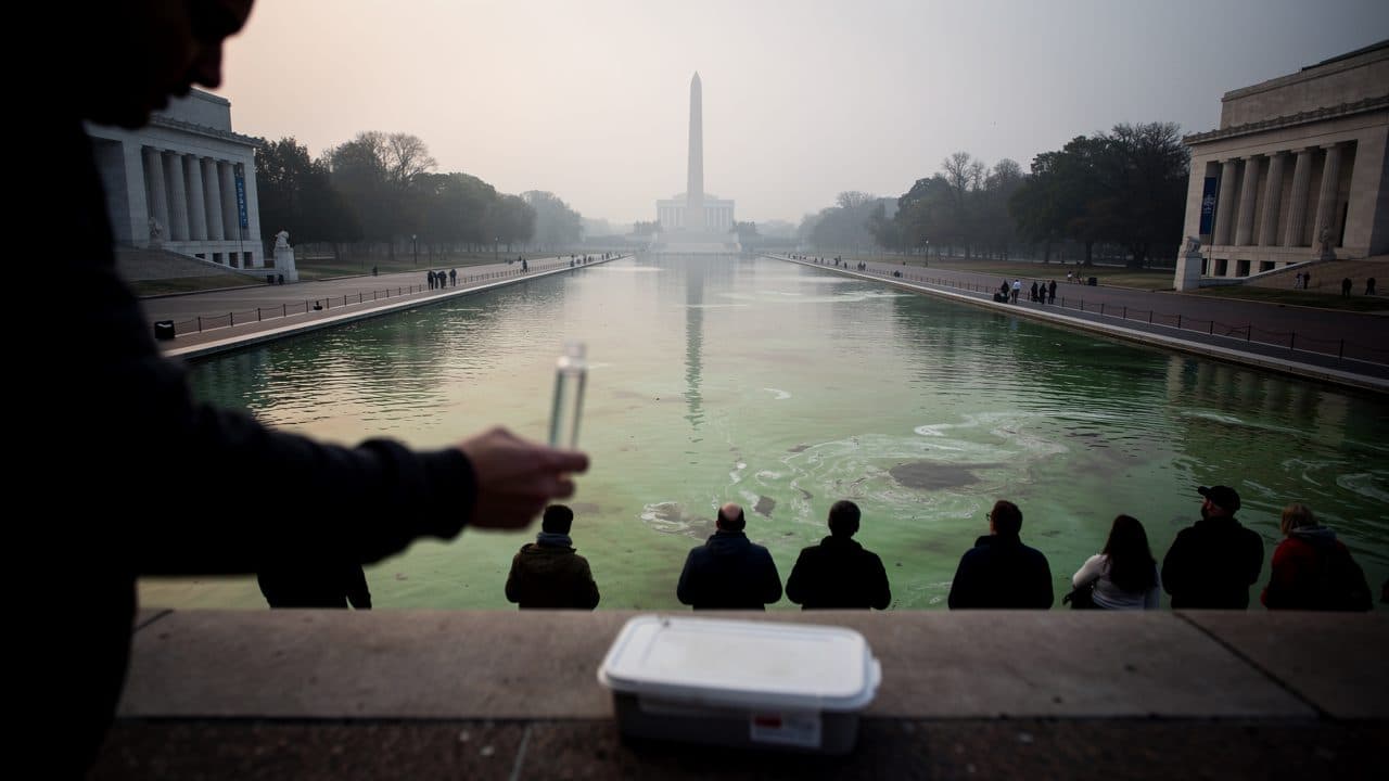 Trump attribue la décoloration du bassin réfléchissant du Lincoln Memorial au vandalisme malgré l'absence de preuves