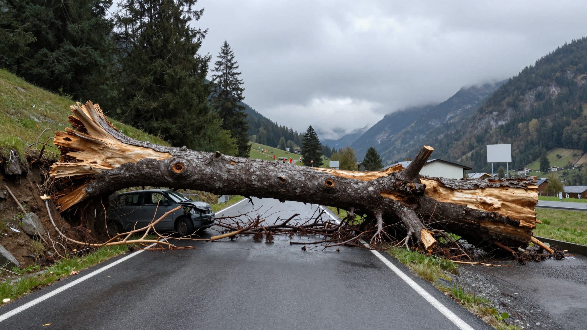 Un arbre s'effondre sur une voiture à Roppen : le conducteur légèrement blessé, deux enfants indemnes